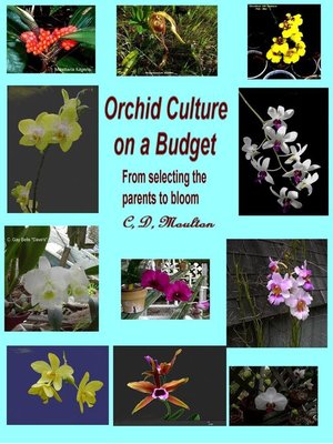 cover image of Orchid Culture on a Budget